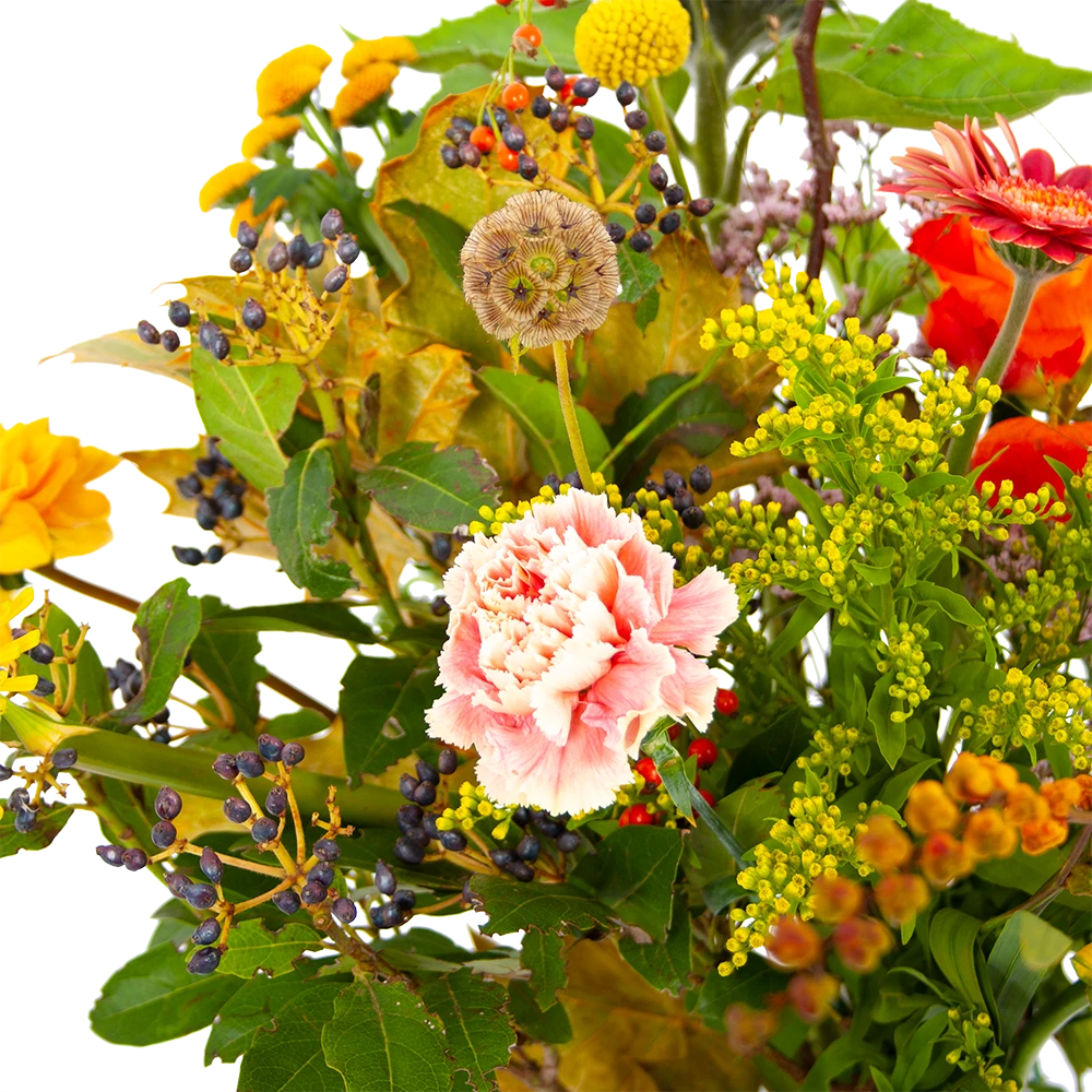 Boeket Vrolijk Klein 5 Boeket Vrolijk Klein - Afbeelding 3