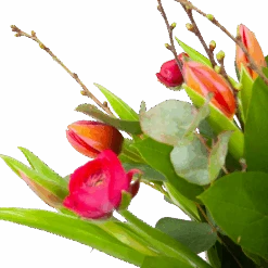 Boeket Vrolijk Roze Groot -Flamingo Verkoop boeket vrolijk roze boeketten 3