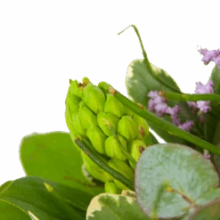 Boeket Vrolijk Seizoen Middel -Flamingo Verkoop boeket vrolijk seizoen boeketten 3