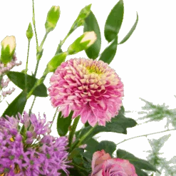 Boeket Vrolijke Verrassing Groot 9 Boeket Vrolijke Verrassing Groot -Flamingo Verkoop boeket vrolijke verrassing boeketten 3 1