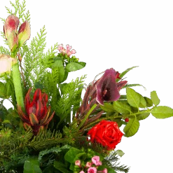 Boeket Winters Middel 8 Boeket Winters Middel -Flamingo Verkoop boeket winters boeketten 2 1 1