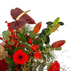 Boeket Winterse Pluim Groot -Flamingo Verkoop boeket winterse pluim boeketten 3 1 2