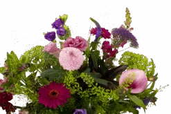 Boeket Zomerbries Klein -Flamingo Verkoop boeket zomerbries boeketten 3 5 1