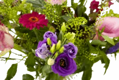 Boeket Zomerbries Klein -Flamingo Verkoop boeket zomerbries boeketten 4 5 1