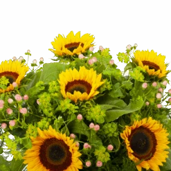 Boeket Zonnestraal Middel -Flamingo Verkoop boeket zonnestraal boeketten 3 3 1