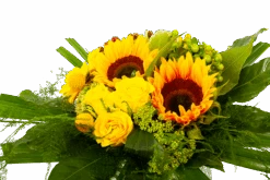 Boeket Zonnetje Middel 10 Boeket Zonnetje Middel -Flamingo Verkoop boeket zonnetje boeketten 3 1