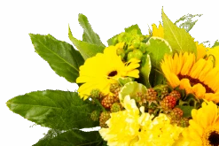 Boeket Zonnetje Klein -Flamingo Verkoop boeket zonnetje boeketten 4 1 1