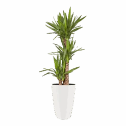 Bloempot Elho Brussels Diamond Rond Hoog 27cm - Wit -Flamingo Verkoop brussels diamond rond hoog 27cm bloempot wit 6 5