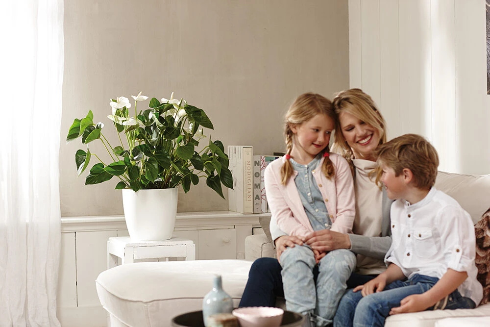 Bloempot Elho Brussels Rond 30cm - Wit 5 Bloempot Elho Brussels Rond 30cm - Wit - Afbeelding 3