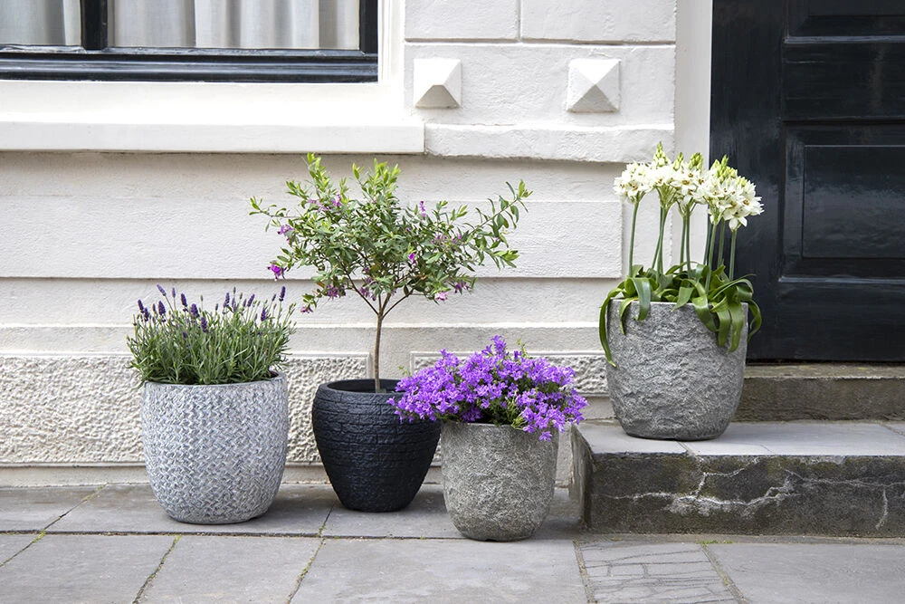 Bloempot Colorado Egg - D25 X H25cm - Grijs 5 Bloempot Colorado Egg - D25 X H25cm - Grijs - Afbeelding 3