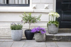 Bloempot Colorado Egg - D45 X H43cm - Grijs -Flamingo Verkoop colorado egg pot river grey d45h43 bloempot 7 9