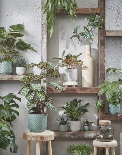 Bloempot Daan - D19 X H17.5cm - Groen -Flamingo Verkoop daan pot rond groen h17 5xd19cm bloempot 7 12