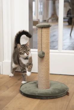 Designed By Lotte DBL Krabpaal Yenna - Groen - 35x35x60cm -Flamingo Verkoop dbl krabpaal yenna groen 35x35x60cm designed by lotte 2