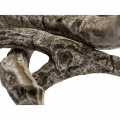 Napoleon Decoratieve Drijfhoutset - Preview 50 8 Napoleon Decoratieve Drijfhoutset - Preview 50 -Flamingo Verkoop decoratieve drijfhoutset preview 3 1 2