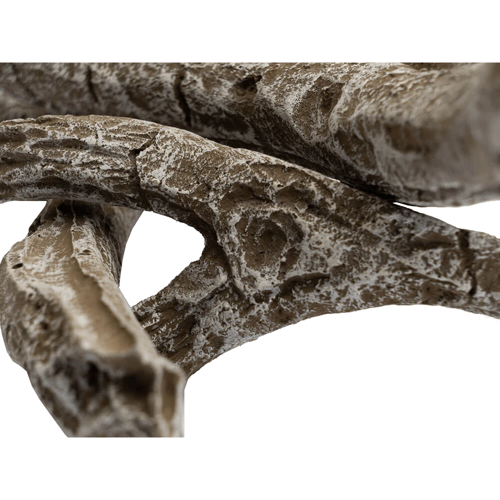 Napoleon Decoratieve Drijfhoutset - Preview 50 5 Napoleon Decoratieve Drijfhoutset - Preview 50 - Afbeelding 3