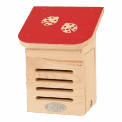 Diapositief Lieveheersbeestkast