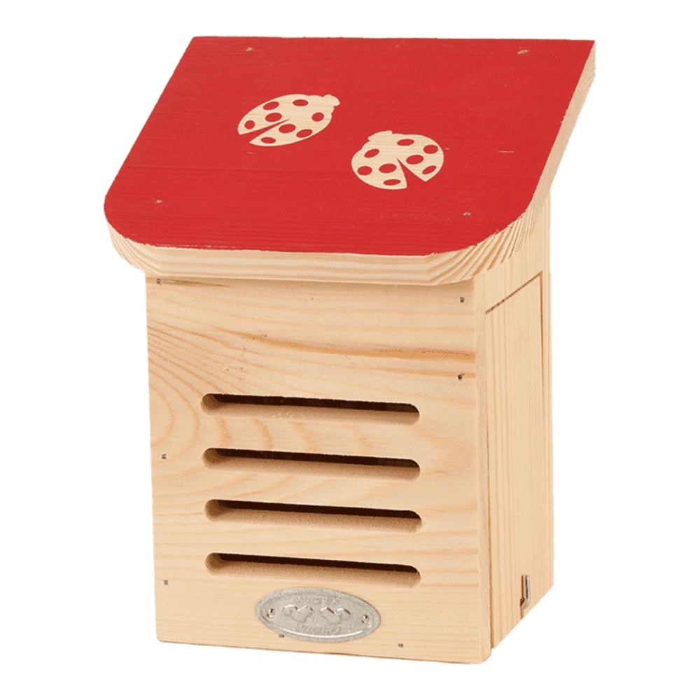 Diapositief Lieveheersbeestkast 3 Diapositief Lieveheersbeestkast