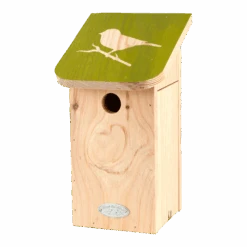 Diapositief Pimpelmees Nestkast