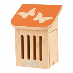 Diapositief Vlinderkast