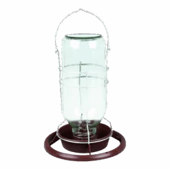 Flamingo Drink- En Voederfontein Met Opstap - Transparant - Glas