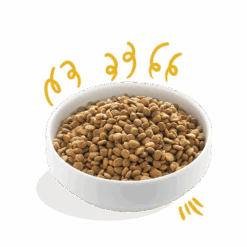 Edgard & Cooper - Verse Kalkoen & Kip - Volwassen - Hondenvoer - 7kg -Flamingo Verkoop e c biokalkoen biokip volwassen hondenvoer 7kg 6 1