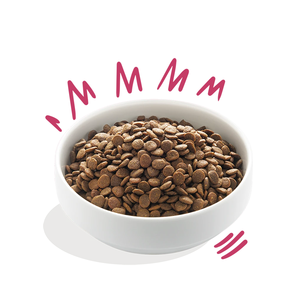 Edgard & Cooper - Hert & Scharreleend - Volwassen - Hondenvoer - 7kg 5 Edgard & Cooper - Hert & Scharreleend - Volwassen - Hondenvoer - 7kg - Afbeelding 3