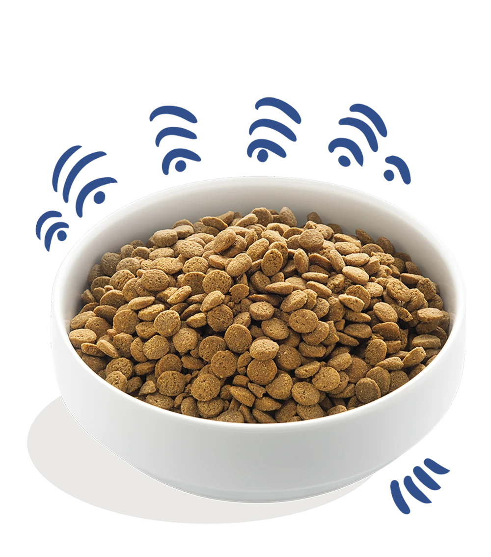 Edgard & Cooper - Verse Noorse Zalm - Volwassen - Hondenvoer - 2,5kg - Afbeelding 3