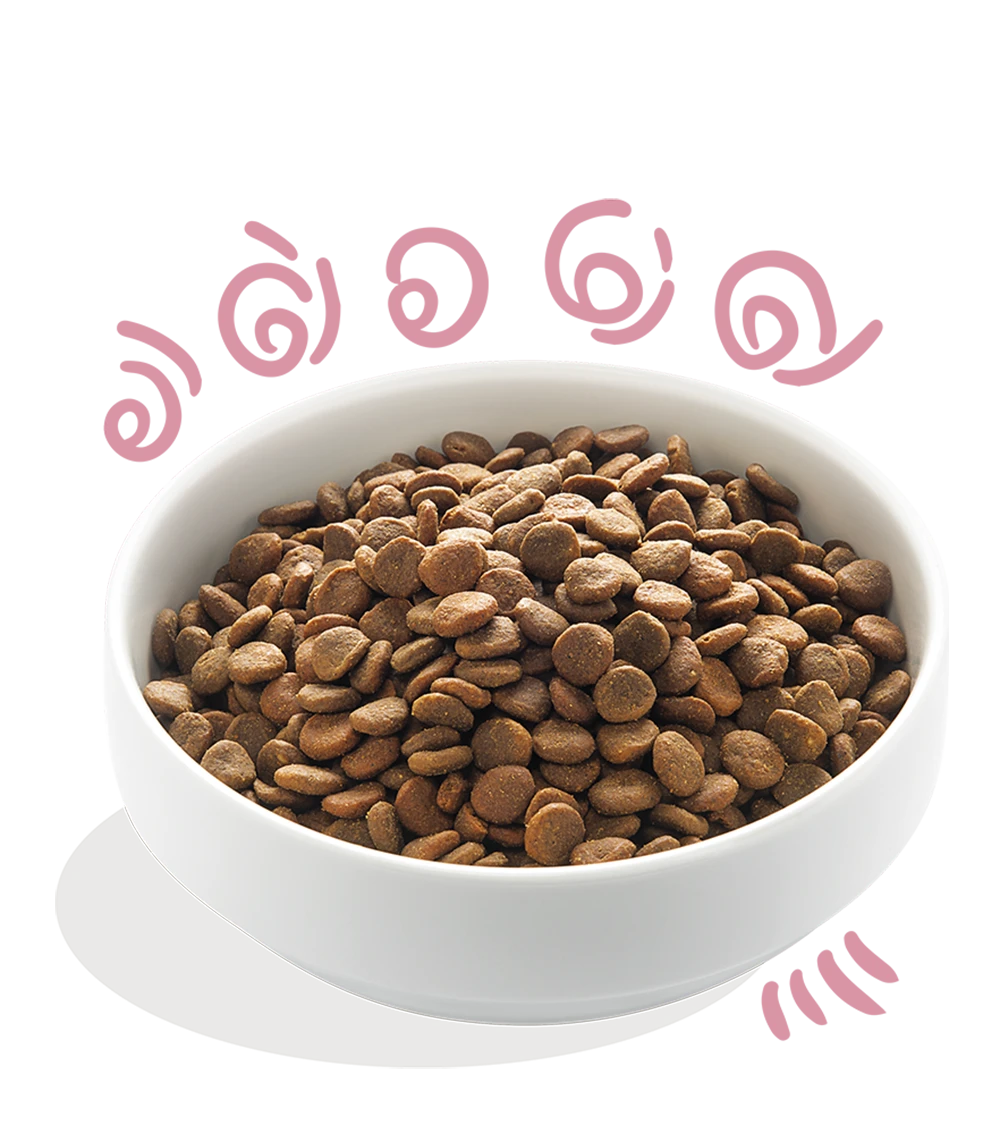 Edgard & Cooper - Verse Scharreleend & Kip - Puppyu2019s - Hondenvoer - 2,5kg - Afbeelding 3