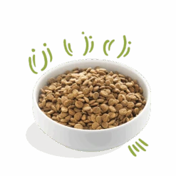 Edgard & Cooper - Verse Graslam - Volwassen - Hondenvoer - 12kg -Flamingo Verkoop edgard cooper graslam volwassen hondenvoer 12kg 6 1