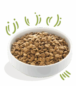 Edgard & Cooper - Verse Graslam - Volwassen - Hondenvoer - 2,5kg -Flamingo Verkoop edgard cooper graslam volwassen hondenvoer 2 5kg 6 2