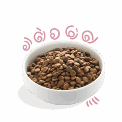 Edgard & Cooper - Verse Scharreleend & Kip - Puppyu2019s - Hondenvoer - 7kg -Flamingo Verkoop edgard cooper scharreleend kip puppys hondenvoer 7kg 6 1