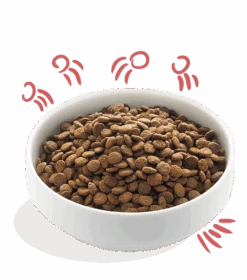 Edgard & Cooper - Verse Scharrelkip & Noorse Zalm - Senior - Hondenvoer - 7kg -Flamingo Verkoop edgard cooper scharrelkip zalm senior hondenvoer 7kg 6 2