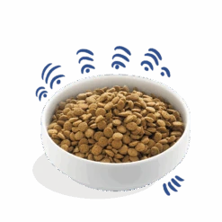 Edgard & Cooper - Verse Noorse Zalm - Volwassen - Hondenvoer - 7kg -Flamingo Verkoop edgard cooper zalm brok volwassen hondenvoer 7kg 6 1