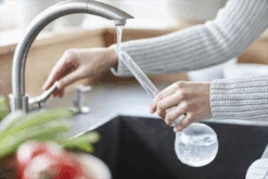 Aqua Care Elho - Transparant -Flamingo Verkoop elho aqua care transparant water geven 6 2