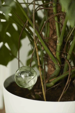 Aqua Care Elho - Transparant -Flamingo Verkoop elho aqua care transparant water geven 7 2