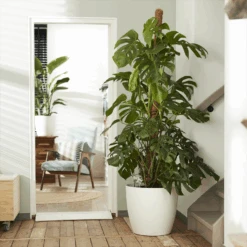 Bloempot Elho Brussels Rond 40cm - Met Wielen - Wit -Flamingo Verkoop elho brussels rond wielen 40 wit bloempot 6 7