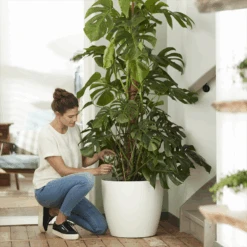 Bloempot Elho Brussels Rond 40cm - Met Wielen - Wit -Flamingo Verkoop elho brussels rond wielen 40 wit bloempot 7 7