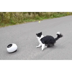 Flamingo Elton Interactive Tennisballen Schieter Incl. Tennisbal -Flamingo Verkoop elton interactive tennisballen schieter incl tennisbal 5