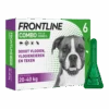 Frontline Combo Spot On Hond L - 6 Pipet (4+2 GRATIS) - Anti Vlooien, Teken En Luizen -Flamingo Verkoop frontline combo spot on hond l 6 pipet 42 gratis anti vlooien teken en luizen 1 1