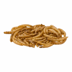 Gedroogde Meelwormen Emmer - 900g - CJ Wildlife -Flamingo Verkoop gedroogde meelwormen emmer 900g cj wildlife cj wildlife 2