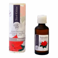 Geurolie Poinsettia (Kerstroos) 50ml - Boles D'olor