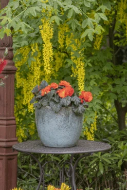 Bloempot Glazed Egg - D30 X H26cm - Groen 7 Bloempot Glazed Egg - D30 X H26cm - Groen -Flamingo Verkoop glazed egg pot moss green d30h26 bloempot groen 7 6