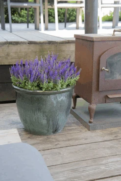 Bloempot Glazed Hp001 - D30 X H25cm - Groen 7 Bloempot Glazed Hp001 - D30 X H25cm - Groen -Flamingo Verkoop glazed hp001 moss green d30h25 bloempot groen 7 6