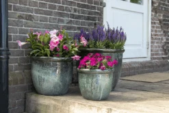 Bloempot Glazed Hp001 - D39 X H30cm - Groen -Flamingo Verkoop glazed hp001 moss green d39h30 bloempot groen 7 6