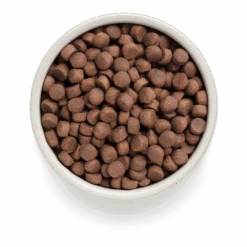 Grandorf Adult - Kalkoen En Bruine Rijst - 10kg - Hondenvoer -Flamingo Verkoop grandorf adult kalkoen en bruine rijst 12kg hondenvoer 2