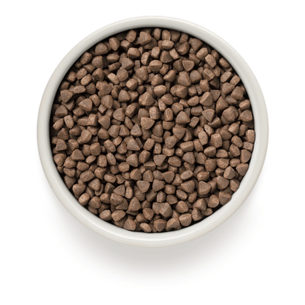 Grandorf Konijn & Bruine Rijst Gesteriliseerd - Kattenvoer - 2kg 4 Grandorf Konijn & Bruine Rijst Gesteriliseerd - Kattenvoer - 2kg - Afbeelding 2