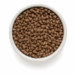 Grandorf Lam & Bruine Rijst Adult Indoor - Kattenvoer - 2kg -Flamingo Verkoop grandorf lam bruine rijst adult indoor kattenvoer 2kg 2 1