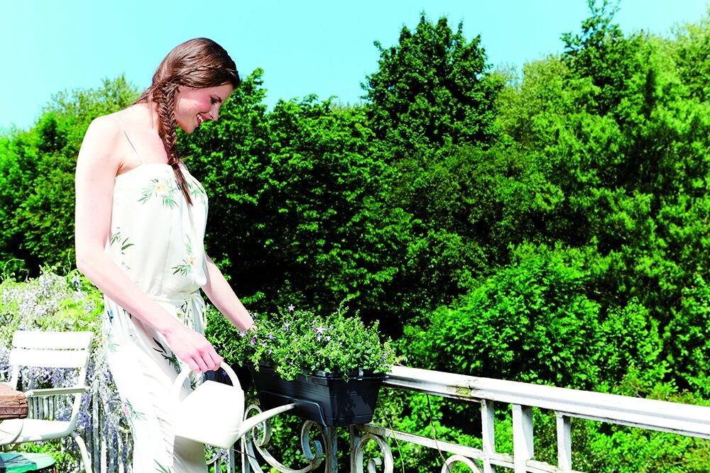 Balkonbak Elho Green Basics Allin1 50cm - Bladgroen 4 Balkonbak Elho Green Basics Allin1 50cm - Bladgroen - Afbeelding 2