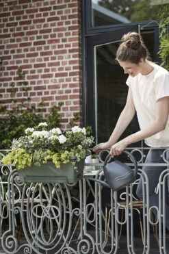 Balkonbak Elho Green Basics XL Allin1 55cm - Bladgroen -Flamingo Verkoop green basics balkonbak xl allin1 55cm plantenbak bladgroen 7 14