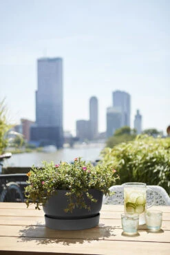 Plantenschaal Elho Greenville 33cm - Living Black -Flamingo Verkoop greenville schaal 33cm bloempot living black 6 13